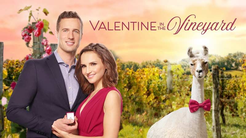 Watch Valentine in the Vineyard(2019)
