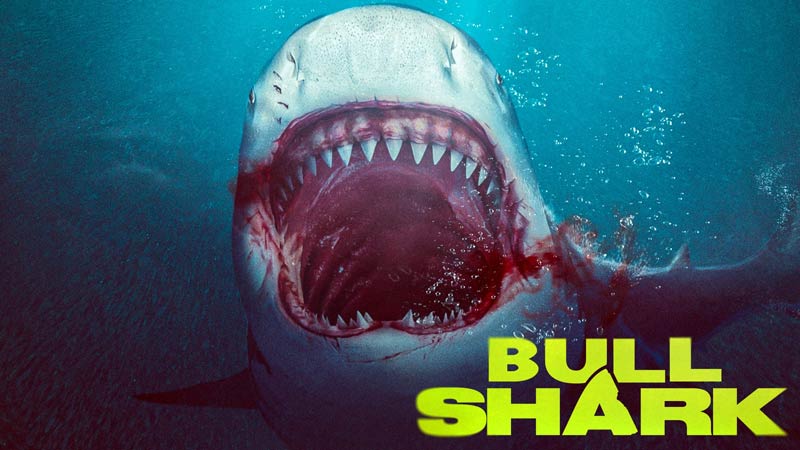 Watch Bull Shark(2022)
